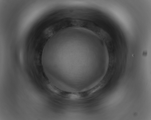 X0000094450765200711211518