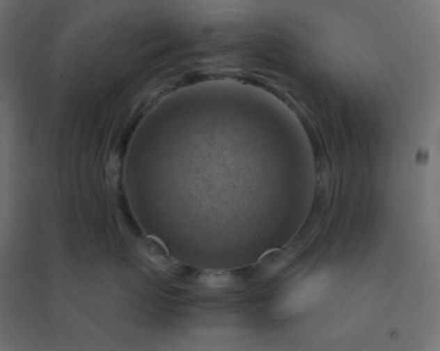 X0000094450767200711211518