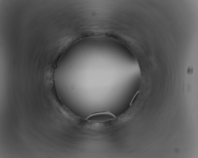 X0000094450768200711211518