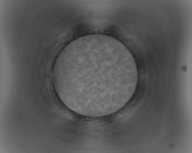 X0000094450769200711211518