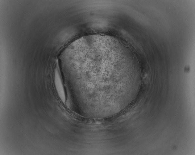 X0000094450772200711211518