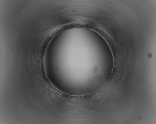 X0000094450773200711211518