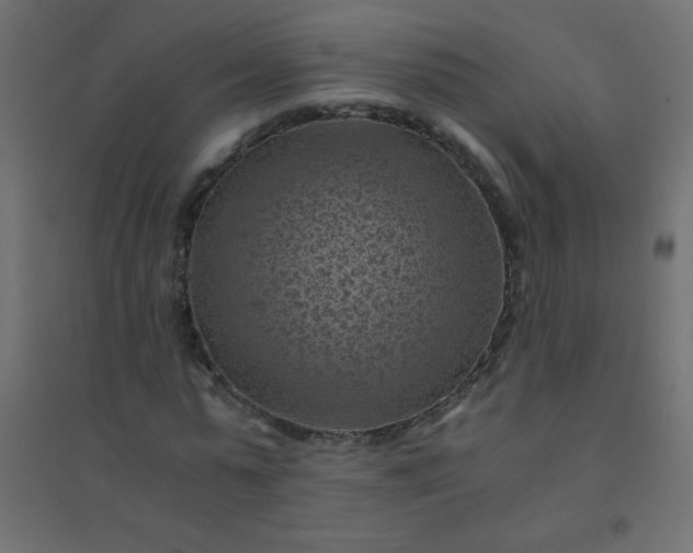 X0000094450775200711211518