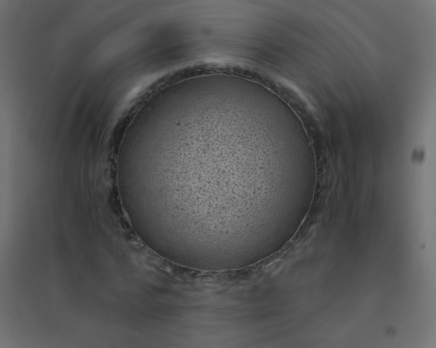 X0000094450776200711211518