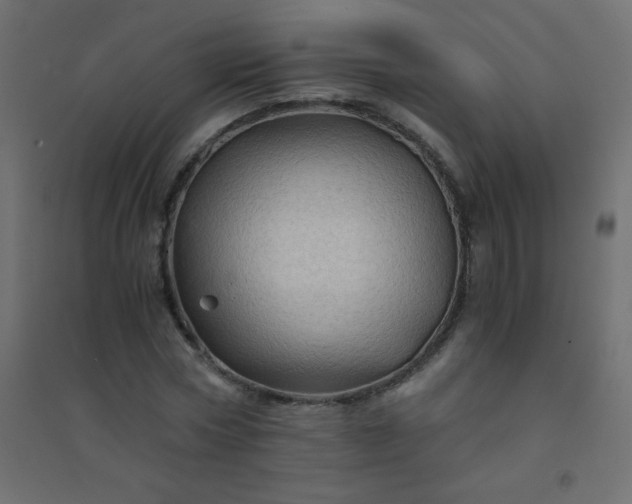 X0000094450778200711211517