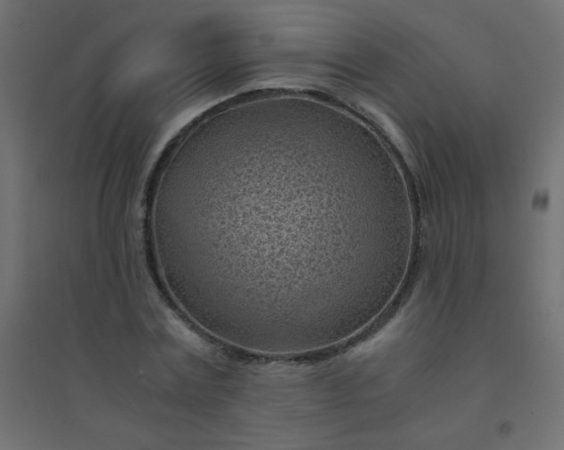 X0000094450779200711211517