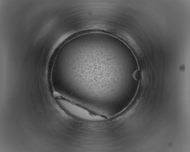 X0000094450780200711211517