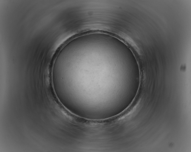 X0000094450782200711211517