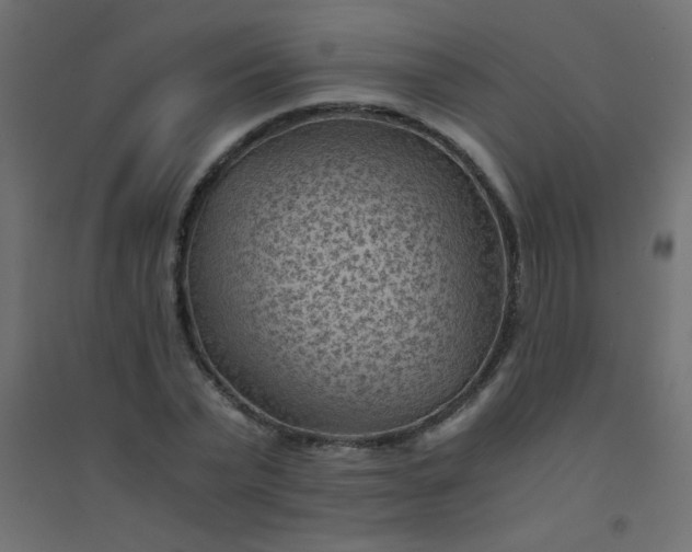 X0000094450783200711211517