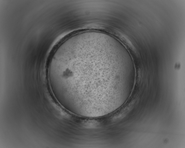 X0000094450784200711211517