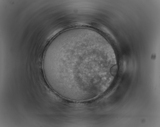 X0000094450785200711211517