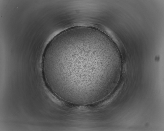 X0000094450787200711211517