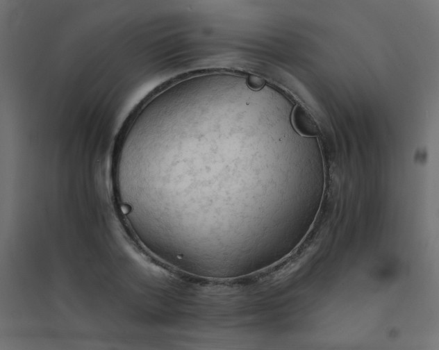 X0000094450788200711211517