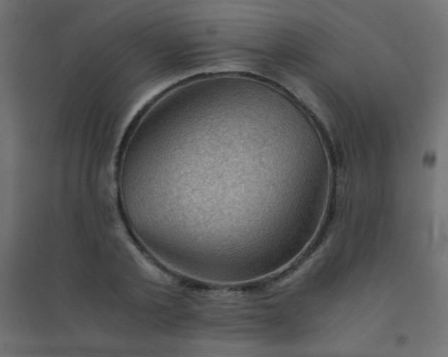 X0000094450789200711211517