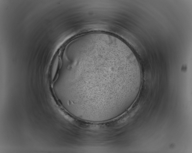 X0000094450790200711211517