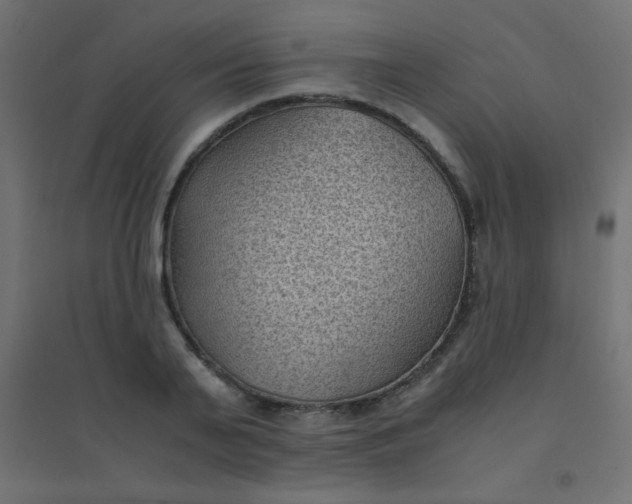 X0000094450791200711211517