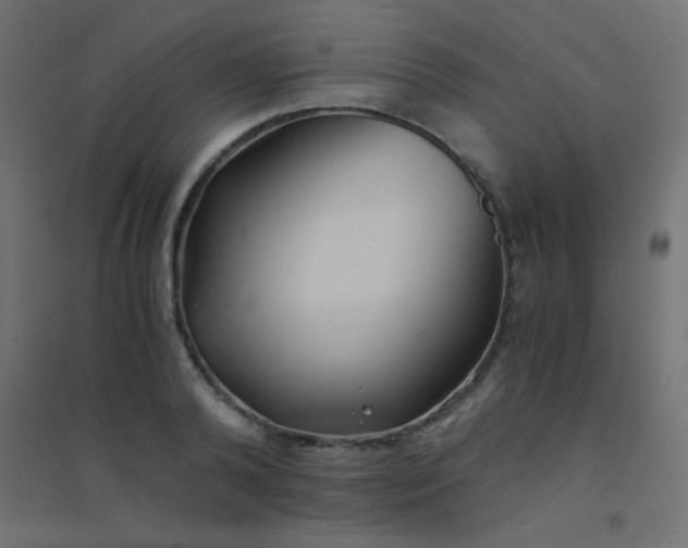 X0000094450792200711211517