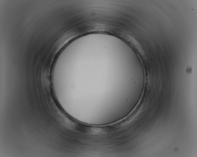 X0000094450794200711211517