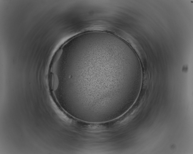 X0000094450795200711211517