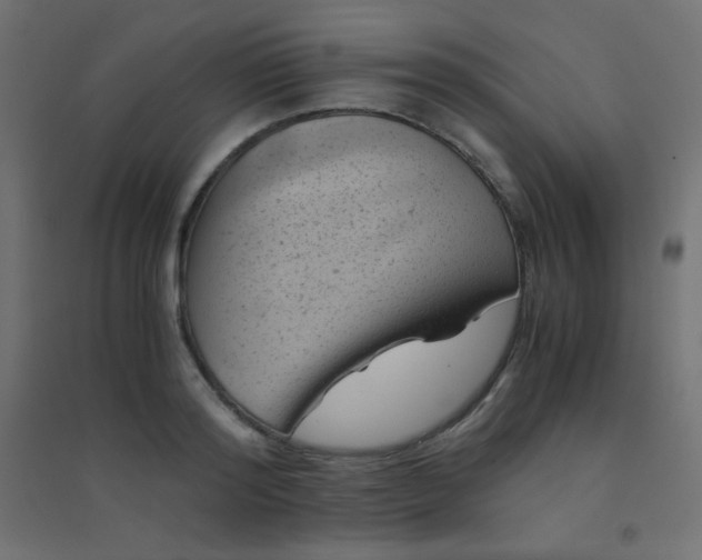 X0000094450796200711211517