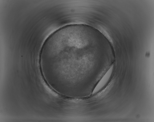 X0000094450797200711211517