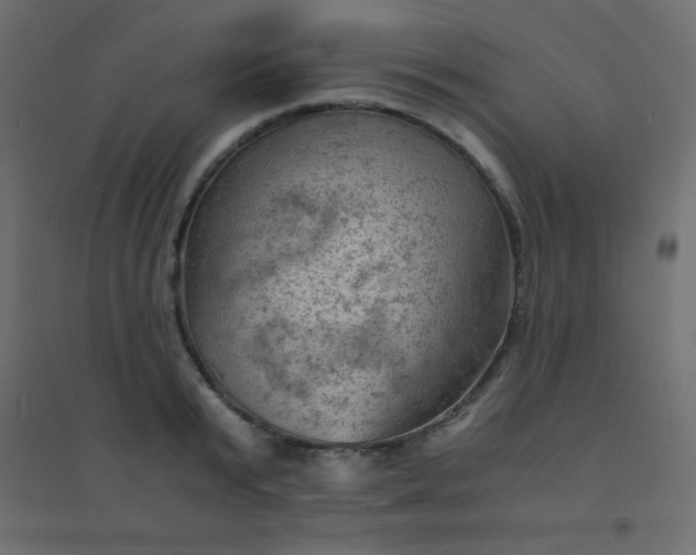 X0000094450799200711211517