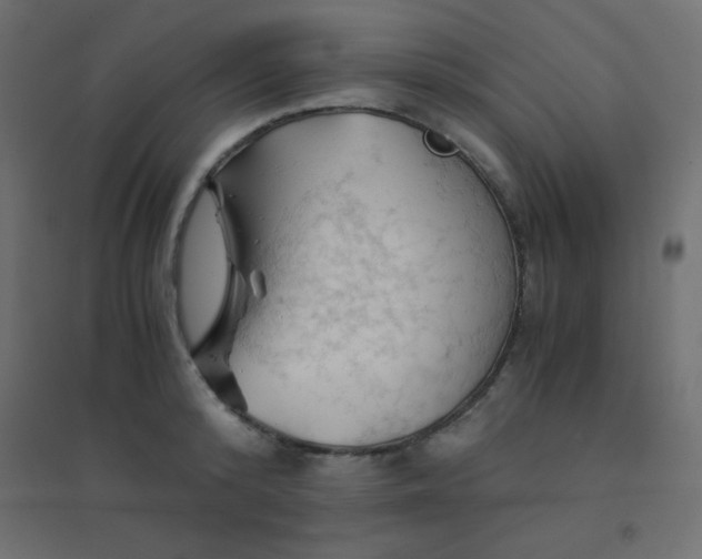 X0000094450800200711211517