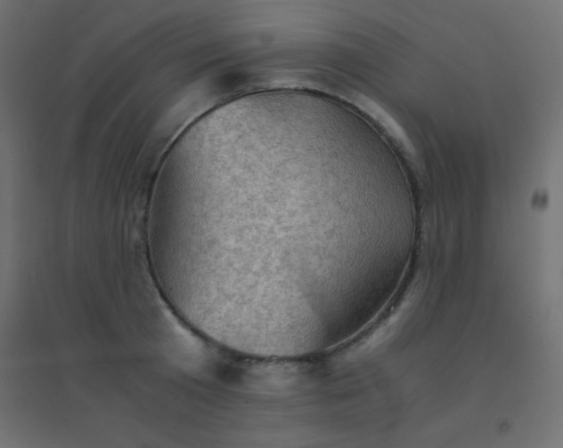 X0000094450801200711211517