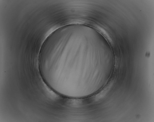 X0000094450802200711211517