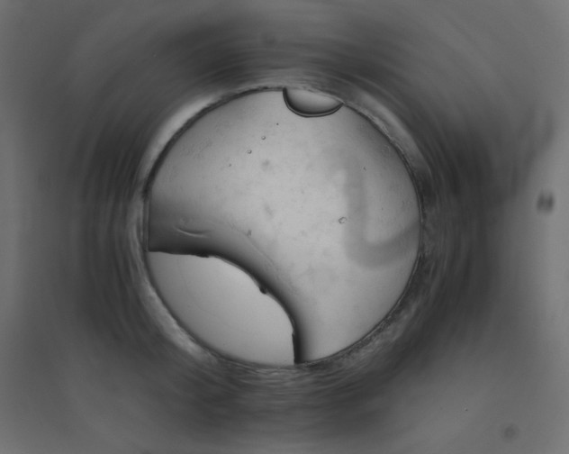 X0000094450804200711211517