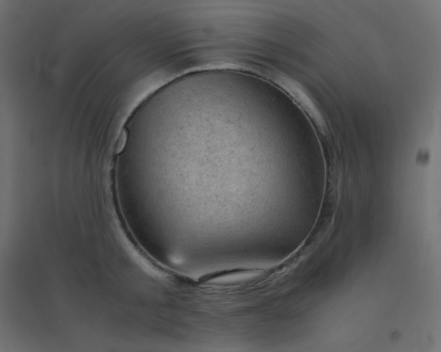 X0000094450805200711211517