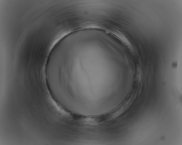 X0000094450806200711211517