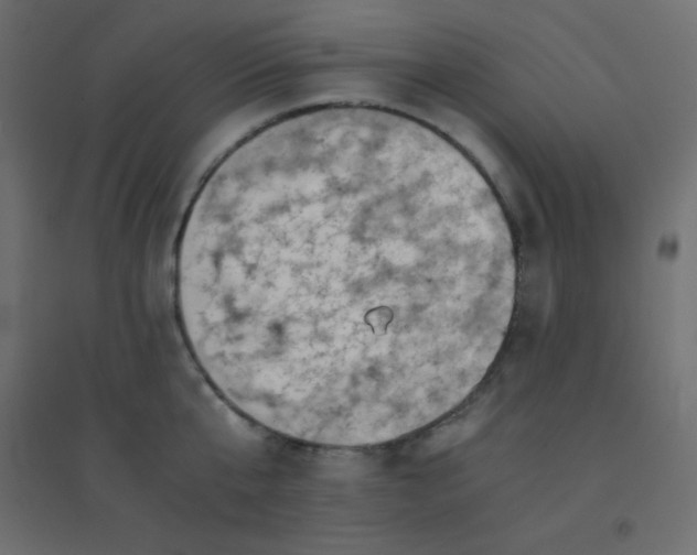 X0000094450807200711211517