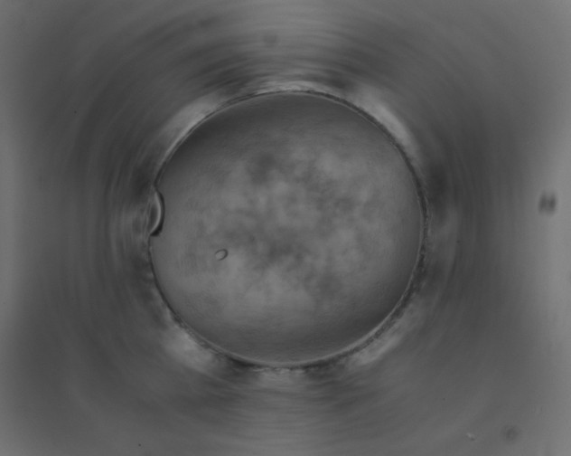 X0000094450809200711211517