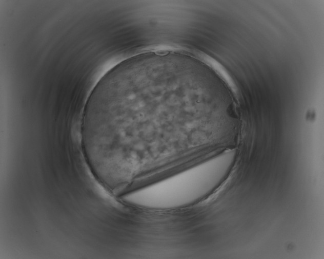 X0000094450810200711211517