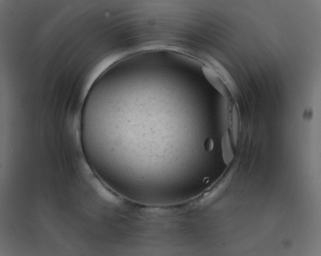 X0000094450812200711211517