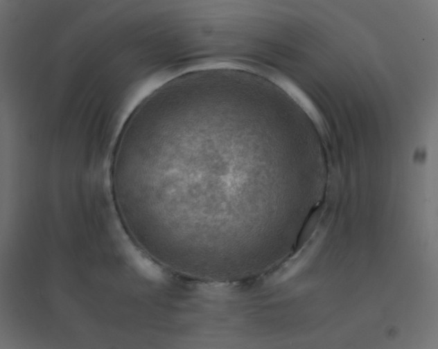 X0000094450813200711211517