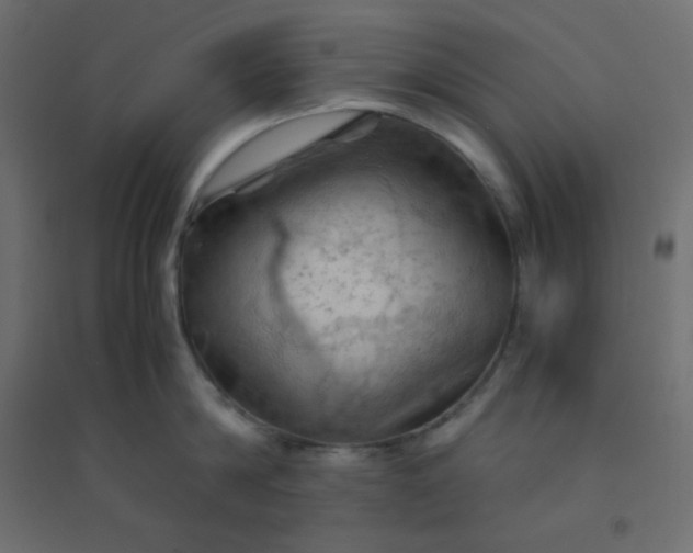 X0000094450814200711211517