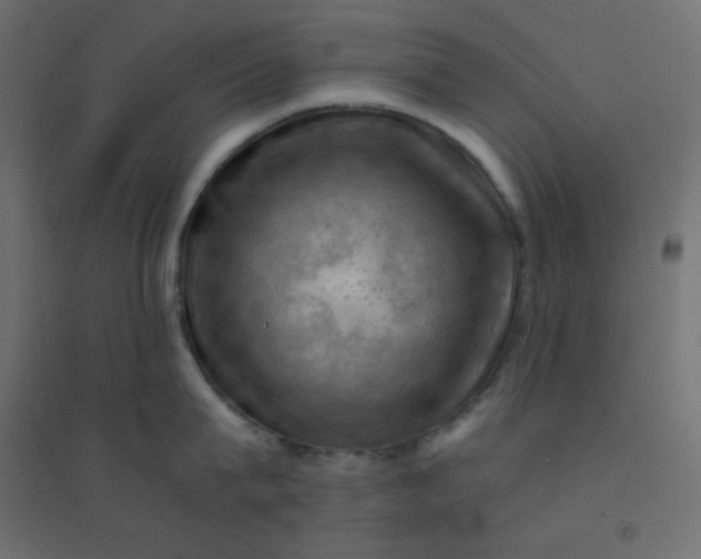 X0000094450815200711211517