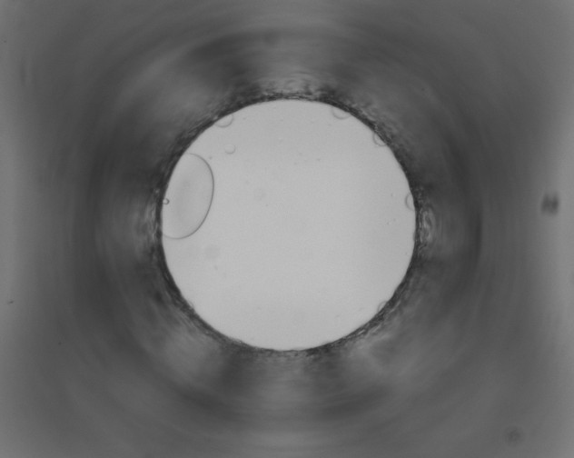 X0000094450820200711211516