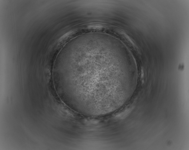 X0000094450821200711211516