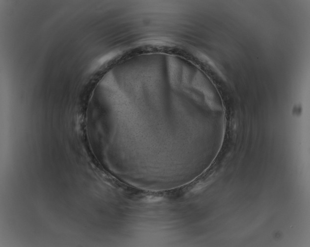 X0000094450822200711211516