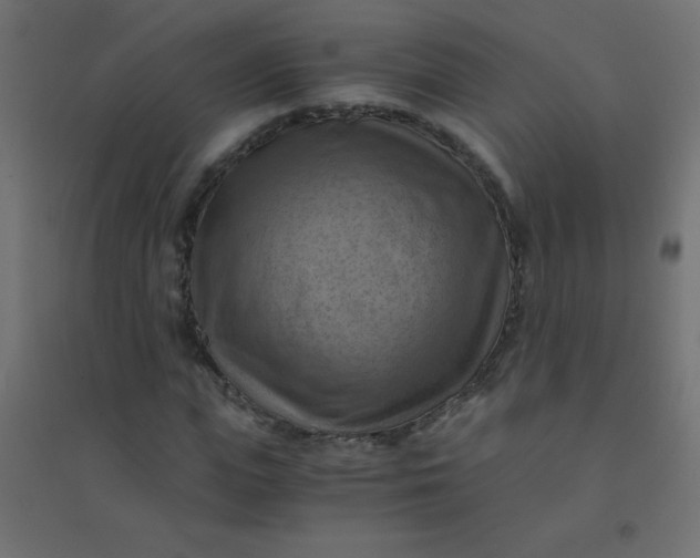 X0000094450823200711211516