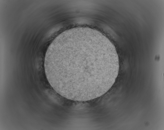 X0000094450824200711211516