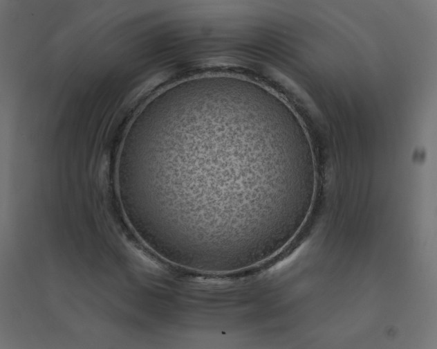 X0000094450825200711211516