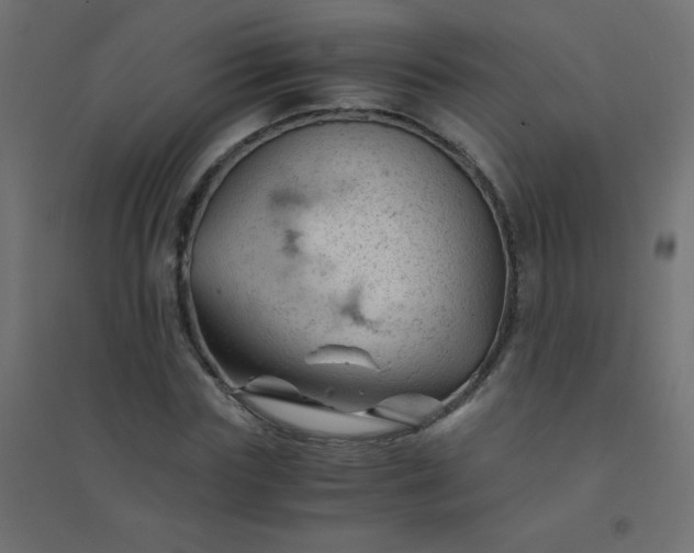 X0000094450827200711211516