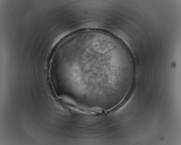 X0000094450829200711211516