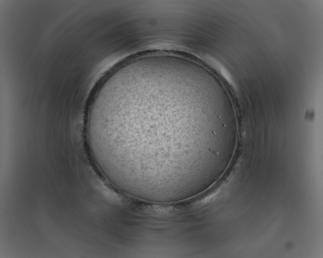 X0000094450831200711211516