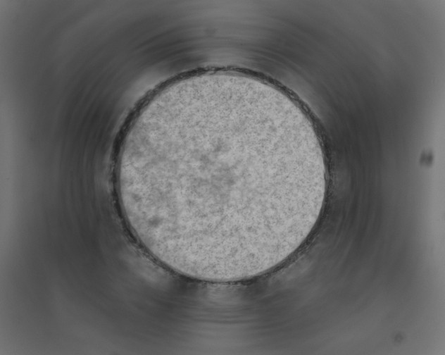 X0000094450832200711211517