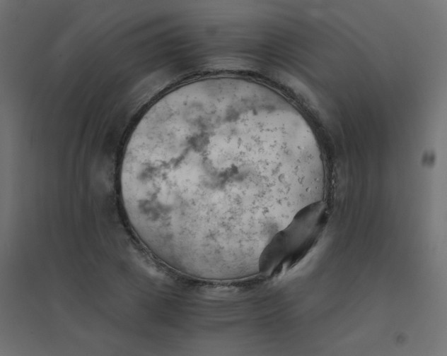 X0000094450833200711211517